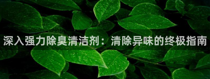 尊龙凯时人生就博