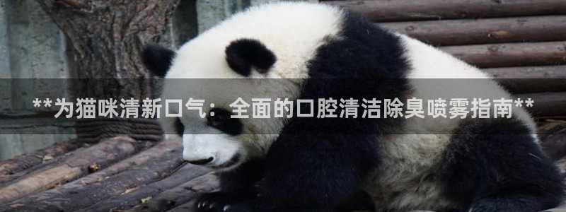 尊龙版末代皇帝
