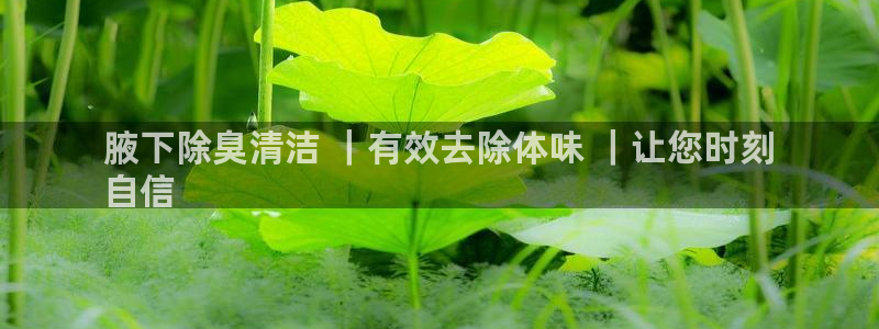 凯时官网app下载官方网站