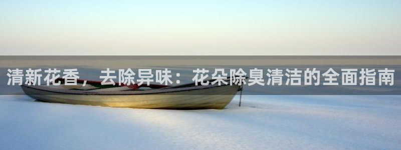 尊龙凯时只输不赢