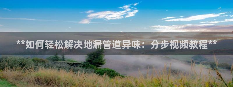 尊龙凯时人生就是搏首页：**如何轻松解决地漏管道异味：分