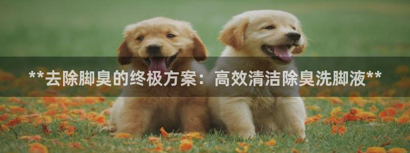 尊龙人生就是博登录首