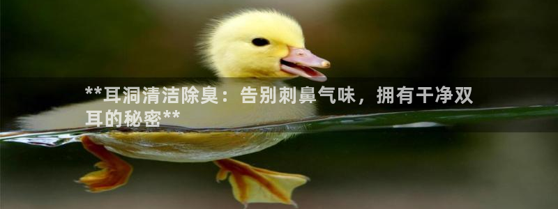 z6com尊龙凯时百家乐：**耳洞清洁除臭：告别刺鼻气味