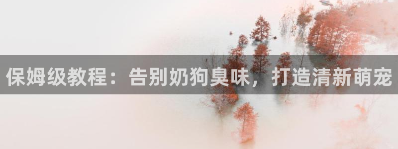 尊龙500价格：保姆级教程：告别奶狗臭味，打造清新萌宠