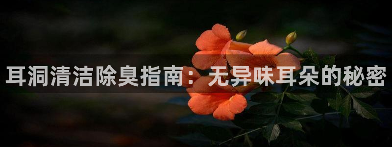 尊龙d88手机登录免费下载：耳洞清洁除臭指南：无异味耳朵