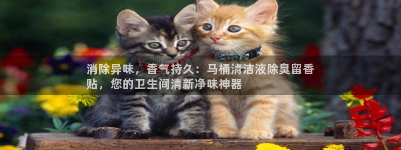 z6尊龙平台是哪里的：消除异味，香气持久：马桶清洁液除臭