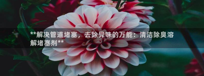 尊龙凯时人生就是博·