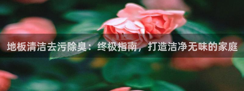 尊龙官网手：地板清洁去污除臭：终极指南，打造洁净无味的家