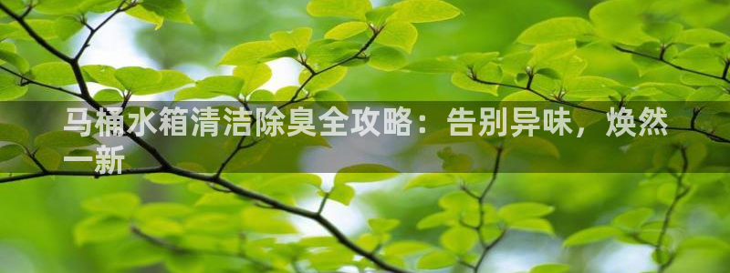 KB88凯时官网登录