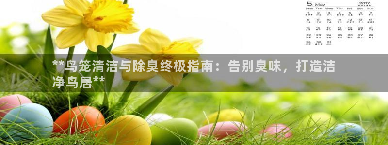 凯时k88最新：**鸟笼清洁与除臭终极指南：告别臭味，打