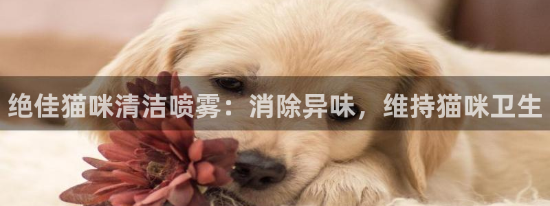 尊龙凯时网页版