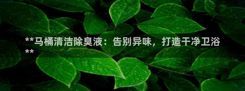 尊龙Ag：**马桶清洁除臭液：告别异味，打造干净卫浴
*