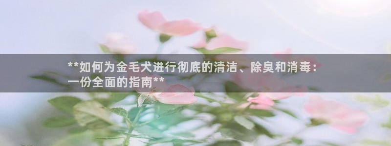 尊龙凯时人生就是博游戏网站：**如何为金毛犬进行彻底的清