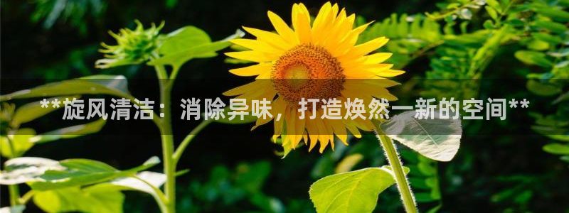 尊龙官网APP下载：**旋风清洁：消除异味，打造焕然一新