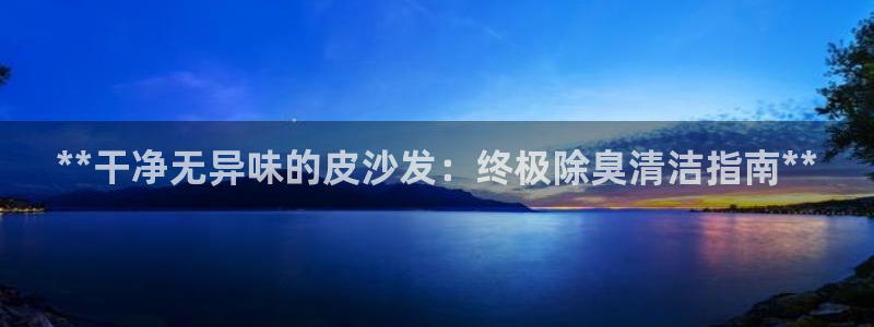 尊龙网站人生就是博：**干净无异味的皮沙发：终极除臭清洁