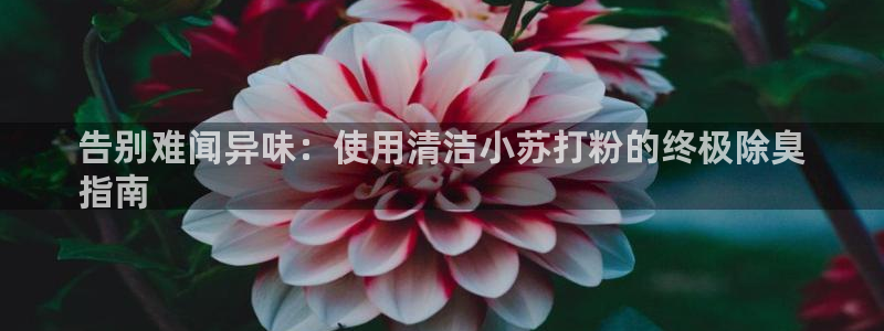 尊龙旗舰店