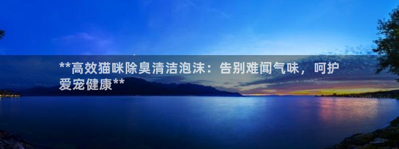尊龙官方平台：**高效猫咪除臭清洁泡沫：告别难闻气味，呵