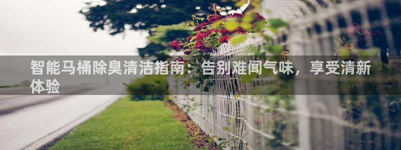 尊龙t300和t400哪个好：智能马桶除臭清洁指南：告别