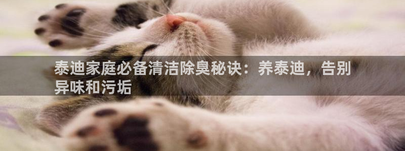 尊龙凯时台子