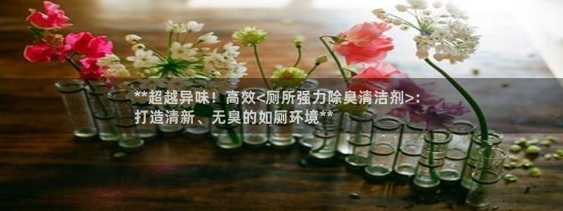尊龙ag旗舰厅官网·(中国)官方入口：**超越异味！高效