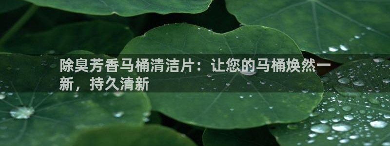 尊龙网址是多少：除臭芳香马桶清洁片：让您的马桶焕然一
新