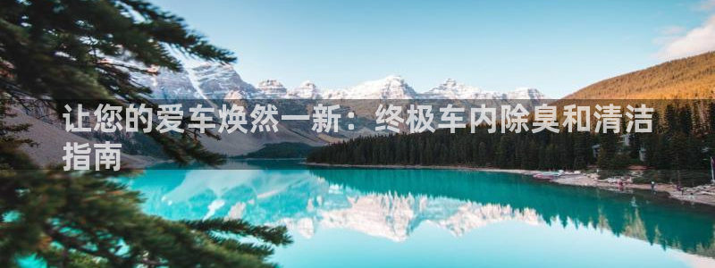 尊龙凯时平台还是万博好：让您的爱车焕然一新：终极车内除臭