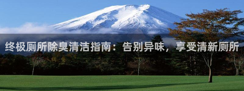 尊龙凯时的最新消息：终极厕所除臭清洁指南：告别异味，享受