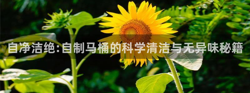 尊龙凯时口碑好吗