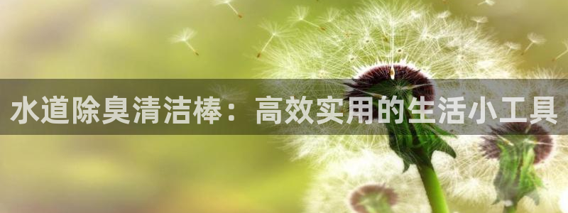尊龙旗舰店