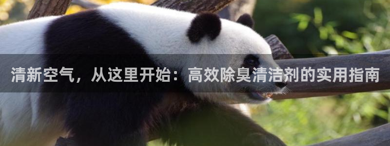 尊龙凯时登陆网址