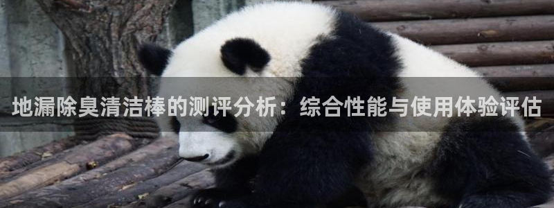 尊龙凯时充值不到账