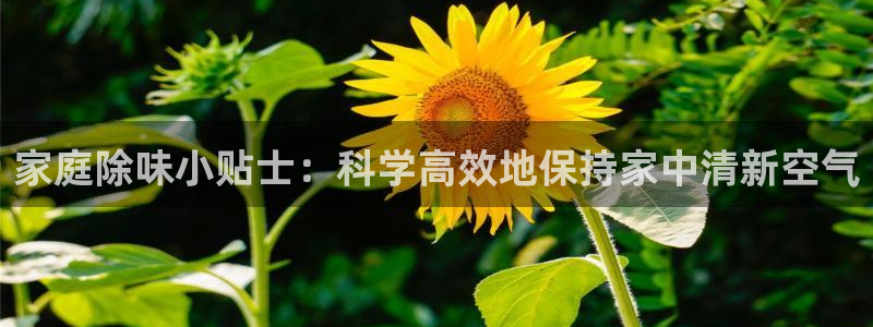 尊龙 10