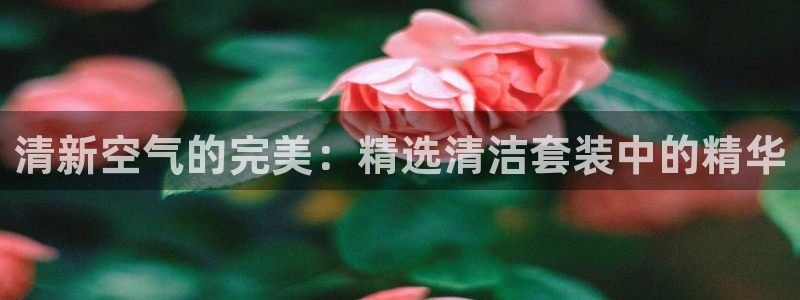 尊龙旗舰厅