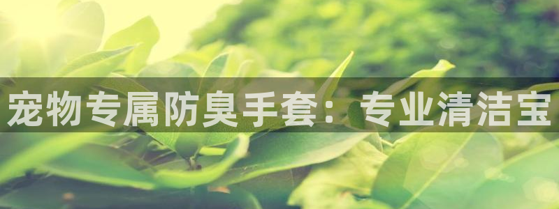尊龙网平台