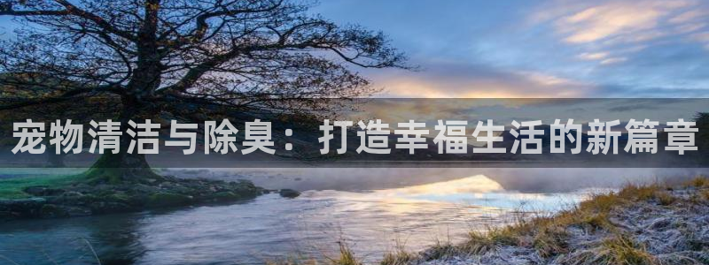 尊龙app认可ag发财网