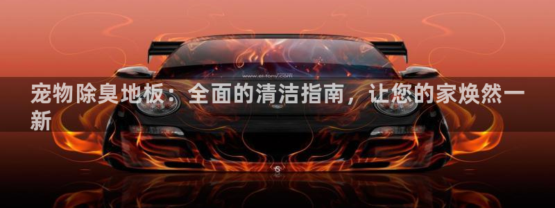 尊龙凯时的生产设备：宠物除臭地板：全面的清洁指南，让您的