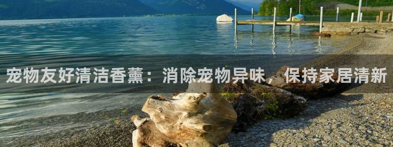 尊龙手机版：宠物友好清洁香薰：消除宠物异味，保持家居清新