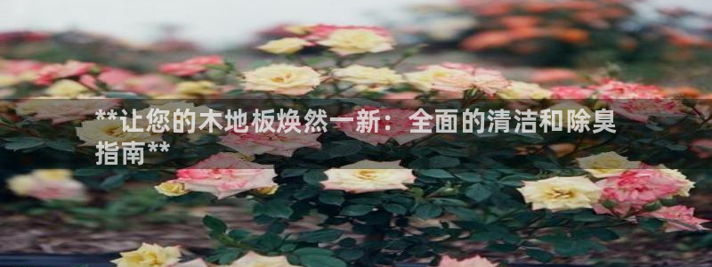 尊龙公司：**让您的