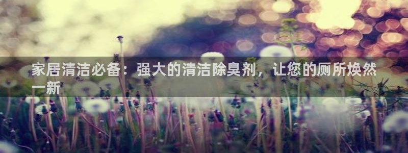 尊龙凯时不朽情缘：家居清洁必备：强大的清洁除臭剂，让您的