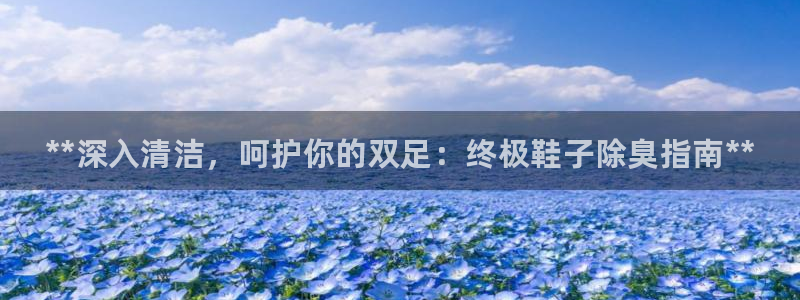 尊龙人生就是博官：**深入清洁，呵护你的双足：终极鞋子除