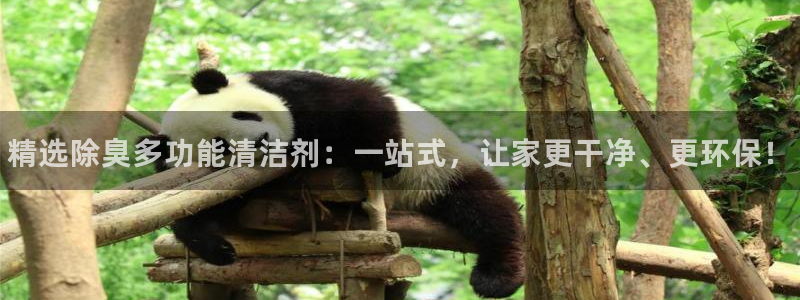 尊龙官网网页版