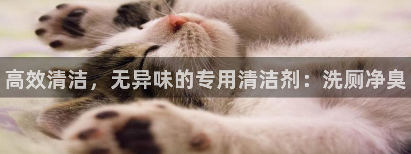 尊龙登录会员登录