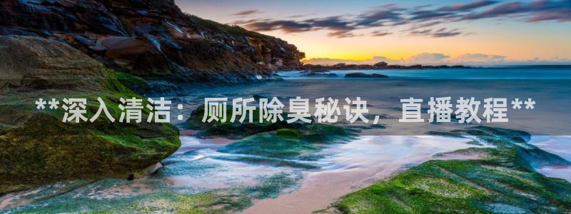 凯时K8国际：**深入清洁：厕所除臭秘诀，直播教程**