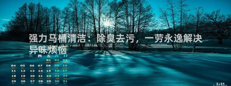 尊龙凯时和九游会哪个平台好一点：强力马桶清洁：除臭去污，