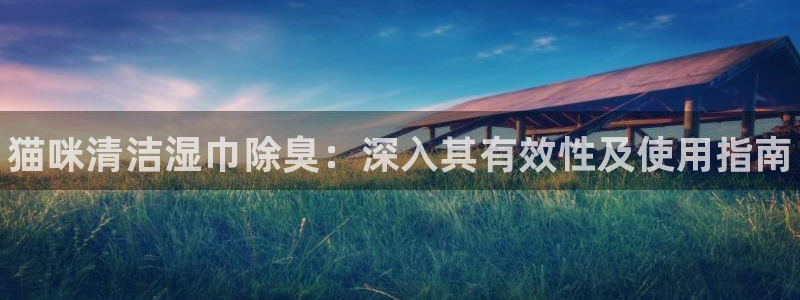 尊龙凯时老板是谁：猫咪清洁湿巾除臭：深入其有效性及使用指