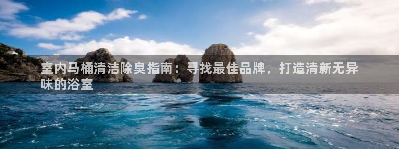 凯时kb88·中国官方网站：室内马桶清洁除臭指南：寻找最