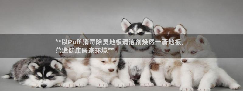 尊龙凯时人生就博官网登录：**以Puff 消毒除臭地板清