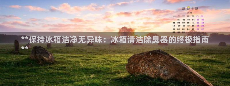 尊龙在线登录官网：**保持冰箱洁净无异味：冰箱清洁除臭器