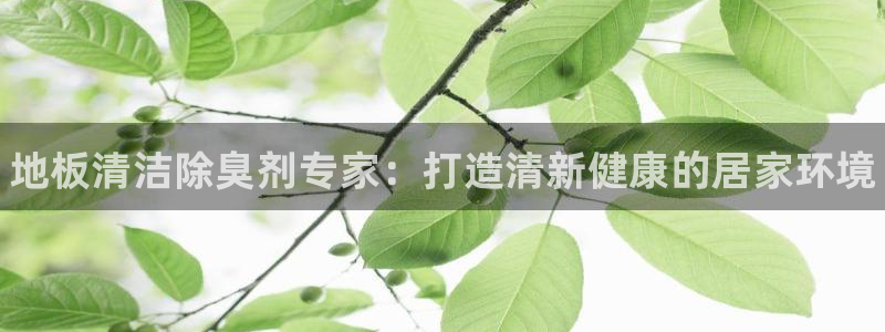 KB88凯时官网登录