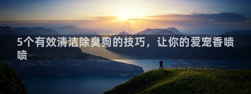 尊龙AG旗舰店：5个有效清洁除臭狗的技巧，让你的爱宠香喷